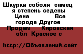 Шкурки соболя (самец) 1-я степень седены › Цена ­ 12 000 - Все города Другое » Продам   . Кировская обл.,Красное с.